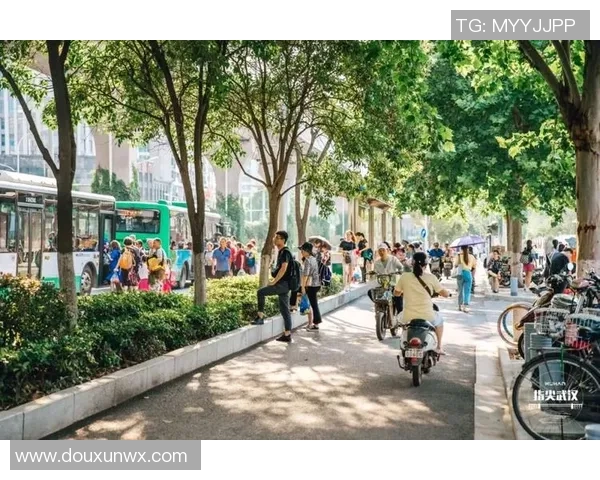 武汉排球队节奏之争引发热议球迷与专家各执己见