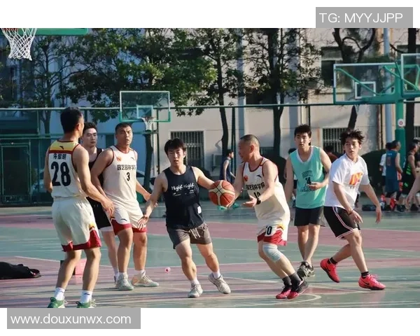 篮球团队协作排行榜：杭州篮球队位居第5名