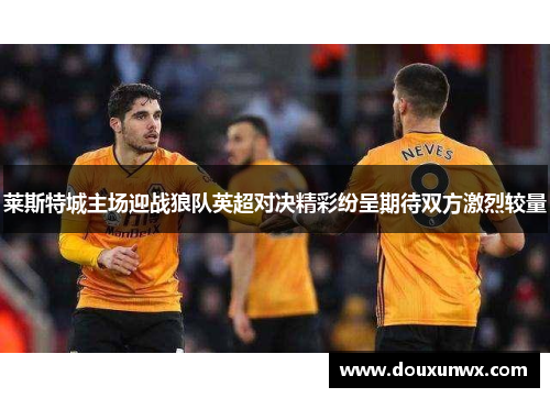 莱斯特城主场迎战狼队英超对决精彩纷呈期待双方激烈较量